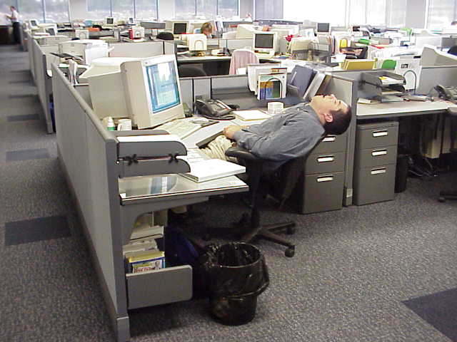 sleeping_at_work