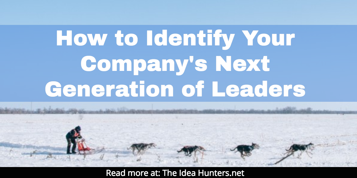 How to Identify Your Company's Next Generation of Leaders The Idea Hunters dot net