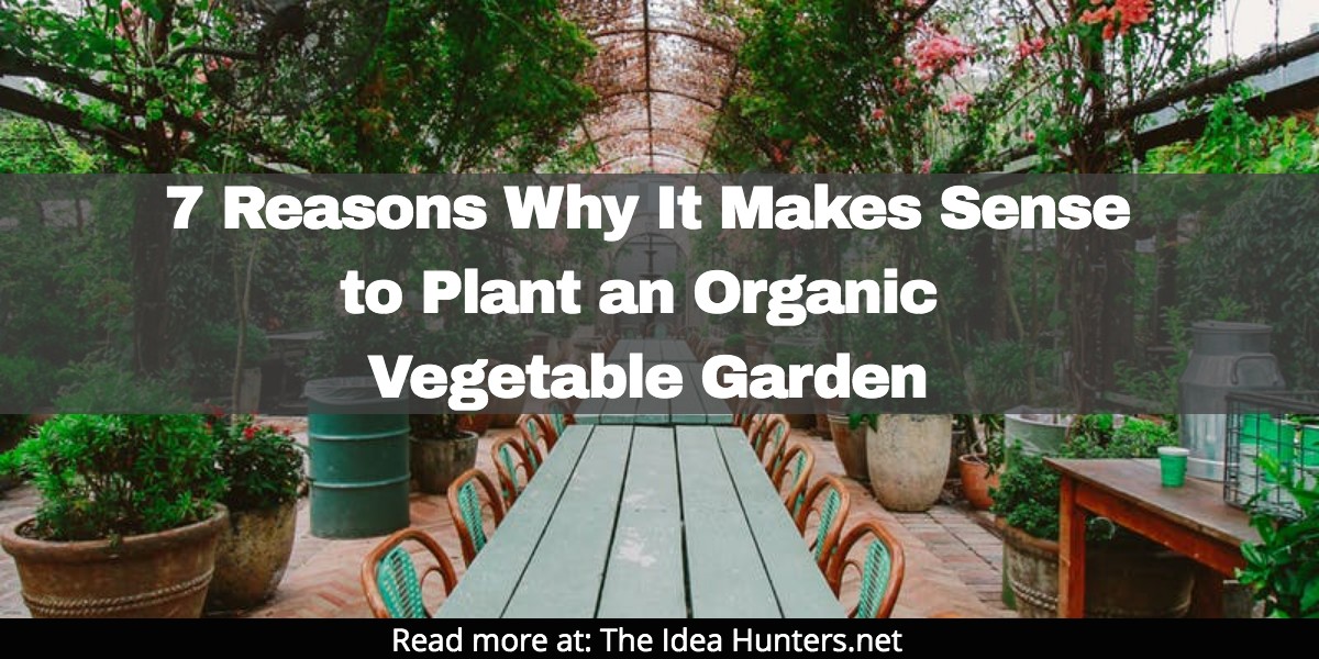 7 Reasons Why It Makes Sense to Plant an Organic Vegetable Garden the idea hunters net james k kim affiliate marketing coach
