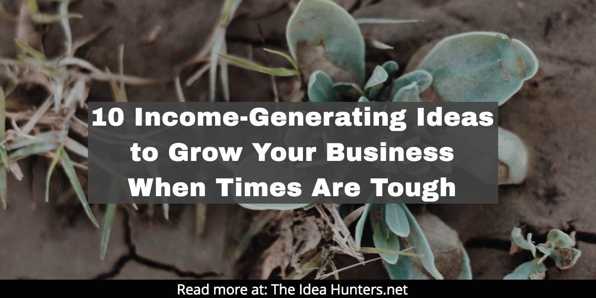 10 Income-Generating Ideas to Grow Your Business When Times Are Tough The Idea Hunters net James K Kim